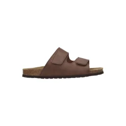 Big Leaf Slipper Bruin