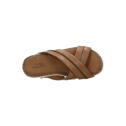 Klondike Slipper Bruin