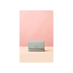 Laurent David Schoudertas Blauw