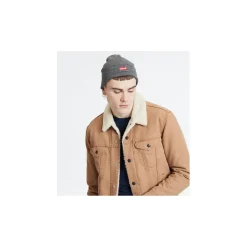 Levi's Muts Grijs