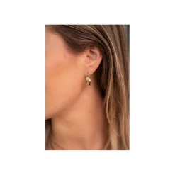 My Jewellery Ring / oorring Goud