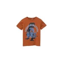 Name It T-shirt Bruin