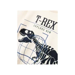 Name It T-shirt lange mouw Beige