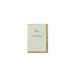 Papette Wenskaart Multicolour