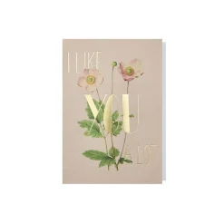 Papette Wenskaart Multicolour