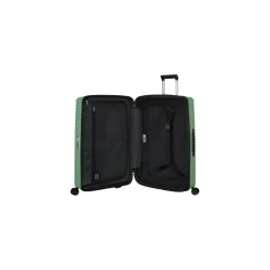 Samsonite Valies Groen